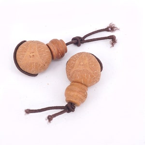 Three Eye Bodhi Seed Guru , Three Mukhi Bodhi Seeds 3 Hole Bead,  Nepal  Bodhi Seed  , Mala Make