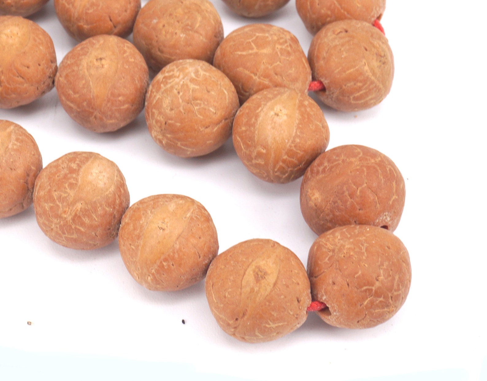 Natural Bodhi Seed Nepal Bodhi Seeds Nepal Beads Tibetan Etsy