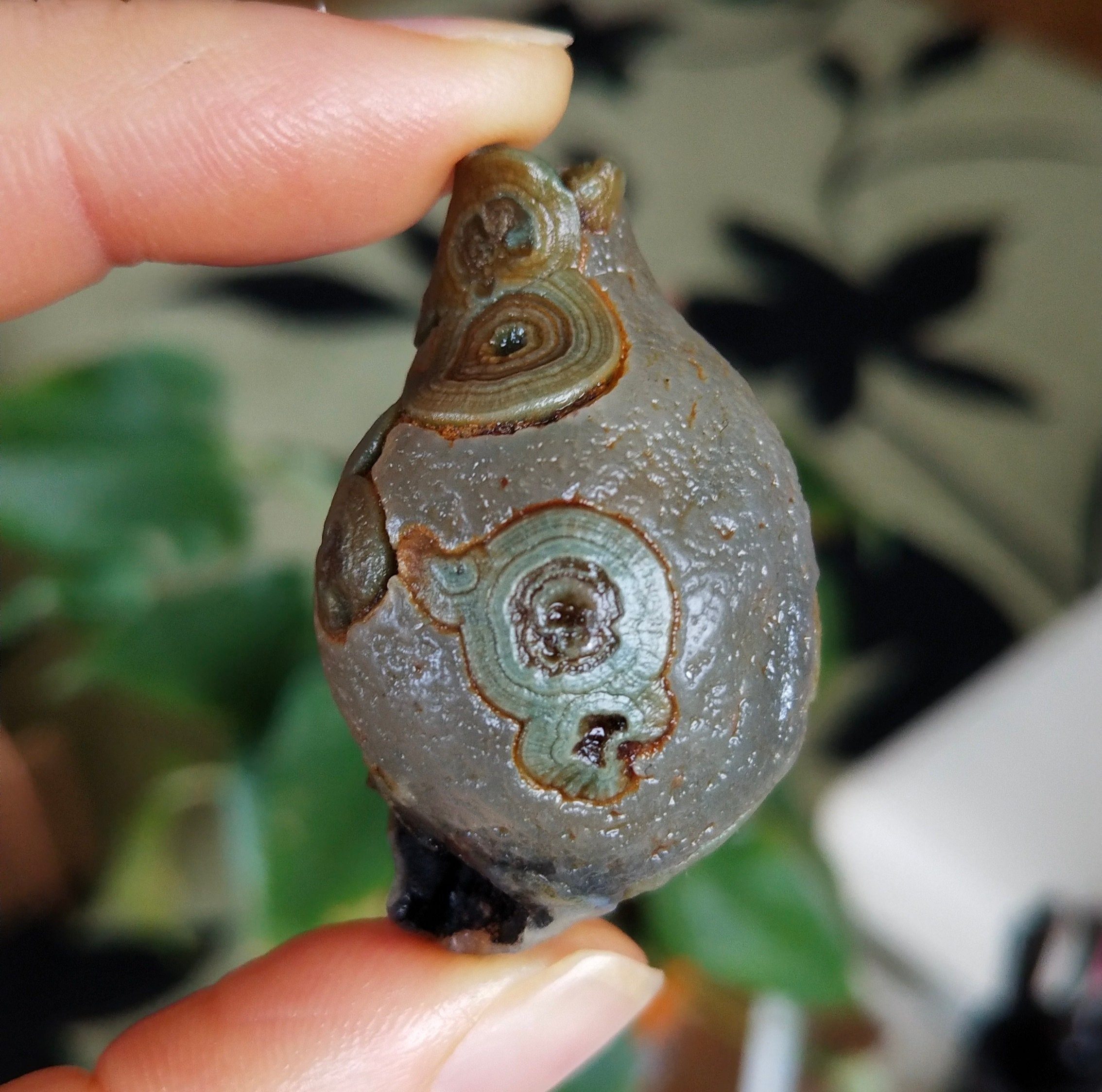 Eye agate for sale deals