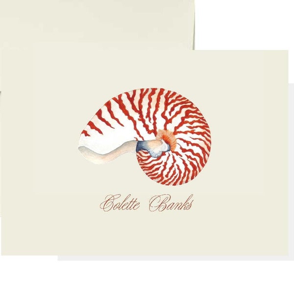 Shell Cards Etsy