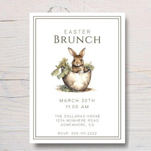 May include: An Easter Brunch invitation with a watercolor illustration of a brown bunny emerging from a cracked egg. The invitation includes the text "Easter Brunch", date, time, location, and RSVP information, all within a decorative border.