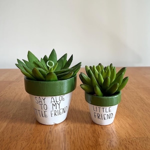 May include: Two small succulent plants in white pots with green rims. The larger pot has the text "Say aloe to my little friend" written on it. The smaller pot has the text "Little friend" written on it.