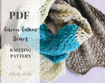 Scarf Knitting Pattern - PDF -  Make this cosy Caron Cakes colour block knitted scarf - Shetland lace design - Instant digital download...