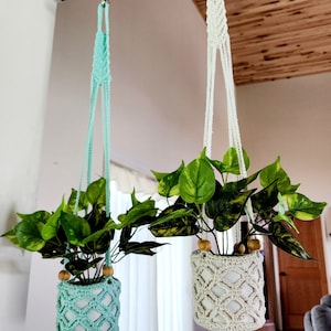 May include: Two macrame plant hangers with wooden rings, one is white and the other is light blue. Both hangers are holding potted plants with green leaves.