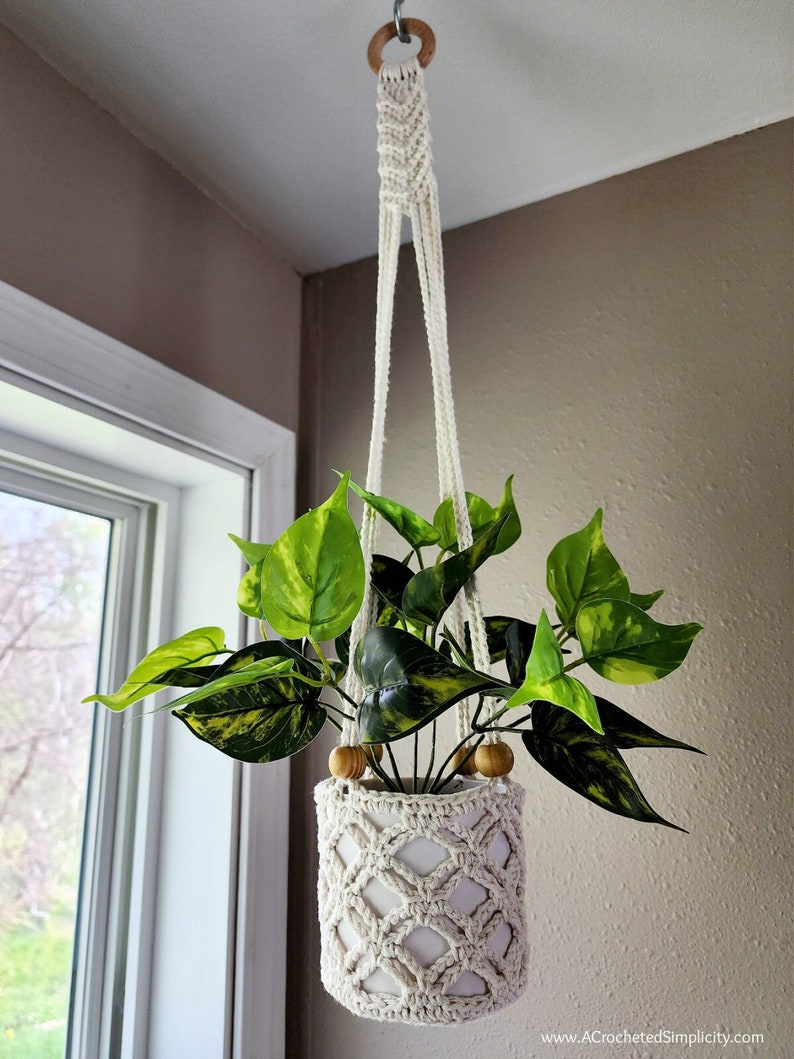 May include: A white crocheted plant hanger with a wooden ring at the top, holding a potted plant with green leaves. The plant is hanging from the ceiling.