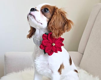 Crochet Dog Collar Flower Pattern | Crochet Poinsettia | Dog Collar Flower | Crochet for Pets Pattern | INSTANT DOWNLOAD PDF