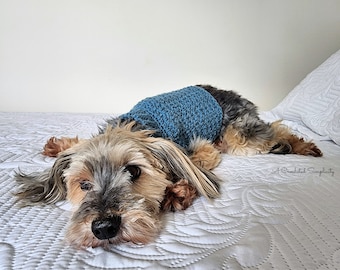 Crochet Dog Sweater Pattern, Dog Pattern, Chewy's Crochet Dog Sweater, Dog Sweater Pattern Crochet for Pets Pattern, INSTANT DOWNLOAD PDF