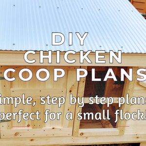May include: DIY Chicken Coop Plans: A simple, step-by-step guide for building a chicken coop, perfect for a small flock.