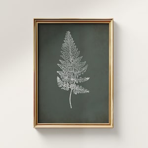 Może przedstawiać: Oprawiona grafika ścienna przedstawiająca białą botaniczną ilustrację paproci wyśrodkowaną na ciemnym, stonowanym zielonym tle. Dzieło jest umieszczone w cienkiej, prostokątnej ramie z metalu w kolorze złota o polerowanym wykończeniu.