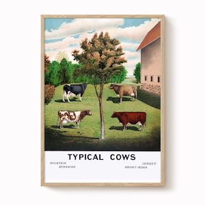 Vintage Cow Poster – 19th Century Farm Art, Americana Cattle Print, Antique Livestock Illustration