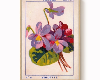 Vintage Violet Print: Antique French Botanical Art, Cottagecore Decor