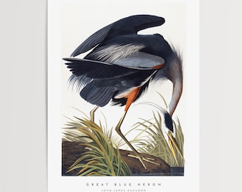 Stampa Audubon dell'airone azzurro, arte ornitologica vintage di storia naturale