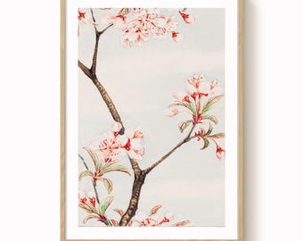 Kunstdruk Sakura-kersenbloesem: vintage Japans bloemenschilderij