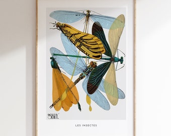 Vintage insects, E.A. Séguy, insect illustration, vintage poster, gift for etymologist, blue green colors, nature illustration, nature study