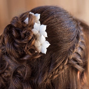 Bridal Hair Pins, Wedding Hair Pins, Set Of6 Stephanotis Hair Pins, Wedding Headpiece, Bridal Hair Flowers, Wedding Hair Pieces, Hair Pins