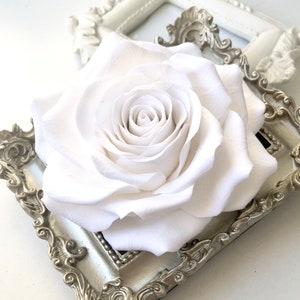 Wedding Hair Flower, Bridal Flower Pin, Large Rose Headpiece Bridal Fascinator, Bridal Hair Pin, Wedding Hair Accessories, Floral Hairpin image 1