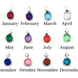 May include: Twelve circular silver-toned charms, each featuring a different coloured gemstone representing a month of the year. The charms are labelled with the corresponding months from January to December in black text below each individual piece.