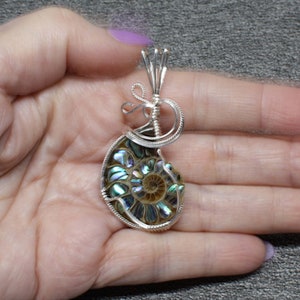 Ammonite w/Abalone Stone Pendant, Ammonite Fossil Necklace, Sterling Silver Wire Wrapped, Handmade Ammonite Jewelry Abalone Necklace Pendant image 4
