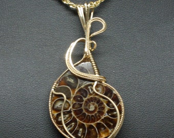 Ammonite Gemstone Pendant, Natural Ammonite Fossil Necklace, Handmade 14k Gold Fill Wire Wrapped Stone, Ammonite Jewelry Ammonite Pendant