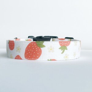 Dog Collar Strawberry Print, Summer Dog Collar, Picnic Dog Collar