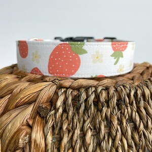 Cute Strawberry Dog Collar, Fruit Summer Dog