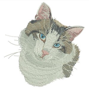Puede incluir: Primer plano de un gato blanco con manchas marrones y negras. El gato tiene ojos azules y mira directamente al espectador.