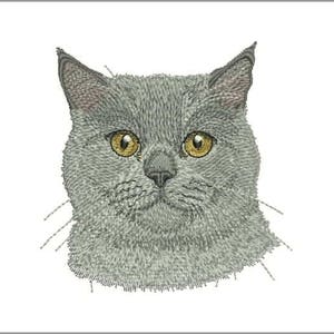 British Shorthair Cat embroidery design. 4&#39;&#39; (10 cm) Design for embroidery machine.  Pocket cat embroidery file. Animal realistic portrait.