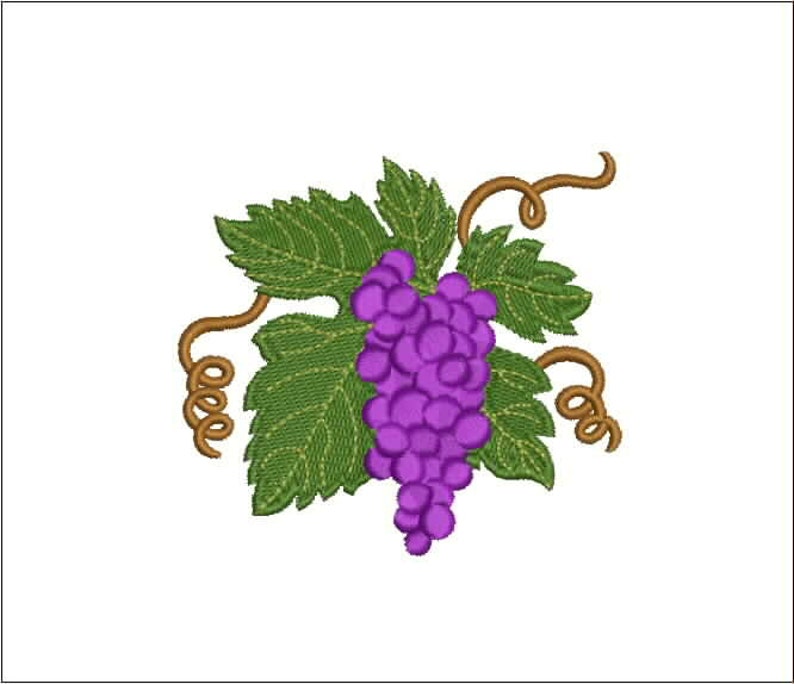 Grapes embroidery design for embroidery machine  etsy