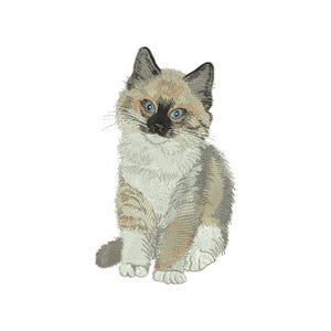 Diseño de bordado de gatito Ragdoll / Patrón de máquina de coser de gato imagen 1