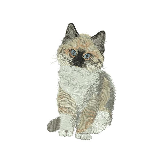 Ragdoll Kitten Embroidery Design | Cat Machine Pattern