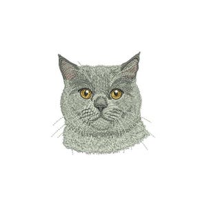 Realistic British Shorthair Cat Embroidery design- Blue Kitten Portrait - Pro Digitized 4" (10cm) Hoop