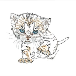 Puede incluir: Un gatito blanco y marrón con ojos azules está sentado sobre un fondo blanco. El gatito está mirando a la cámara con una expresión curiosa.