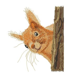 May include: An embroidered design featuring a ginger squirrel peeking from behind a textured brown tree trunk. The squirrel has detailed orange fur, pointed ears with tufts, dark eyes, and long whiskers, rendered in multi-colored thread.