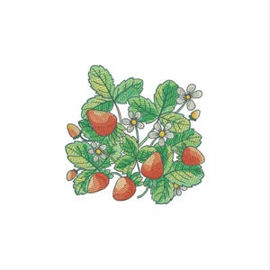 May include: Embroidered design of strawberries, leaves, and flowers. The strawberries are red with yellow accents, the leaves are green, and the flowers are white with yellow centers. The design is on a white background.