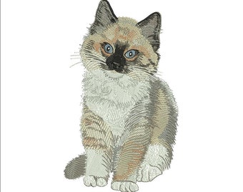 Ragdoll Kitten Embroidery Design, Machine Pattern (7.8" & 9")