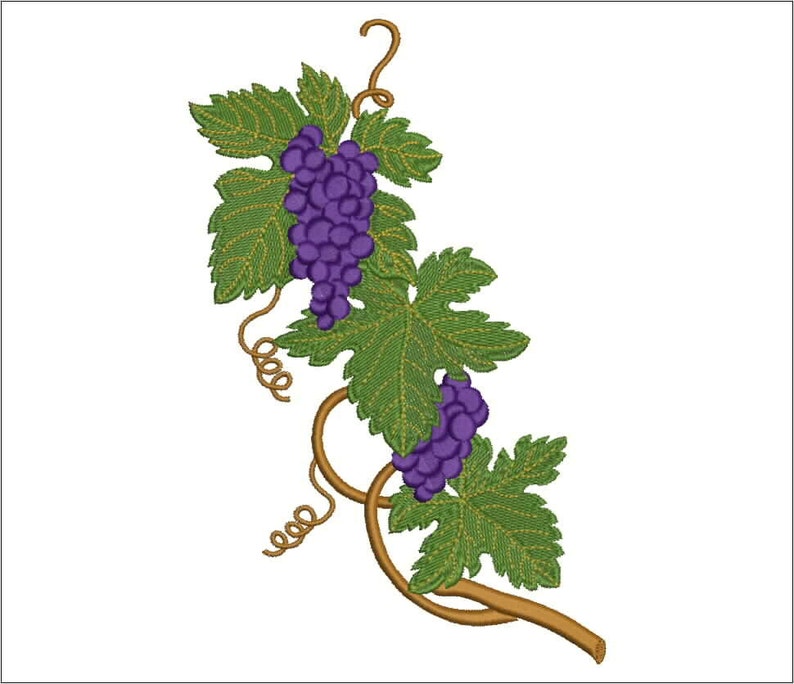 Grapes Embroidery Design for Embroidery Machine. Etsy