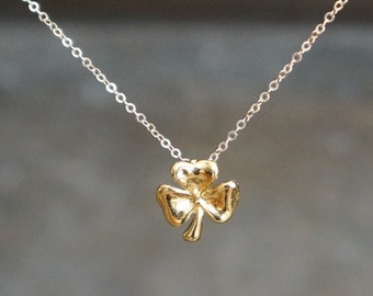 May include: A gold chain necklace with a small, three-leaf clover pendant.