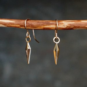 May include: A pair of gold-toned earrings with a pointed, diamond-shaped design. The earrings are hanging from a branch.