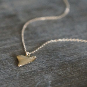 Gold Shark Tooth Necklace // Small Sharks Tooth Pendant on a 14k Gold Filled Chain Good Luck Charm Necklace Amulet Necklace image 9