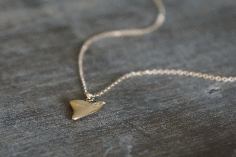 Gold Shark Tooth Necklace // Small Sharks Tooth Pendant on a 14k Gold Filled Chain Good Luck Charm Necklace Amulet Necklace image 9