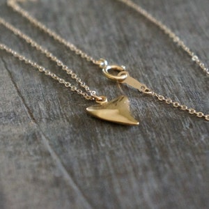 Gold Shark Tooth Necklace // Small Sharks Tooth Pendant on a 14k Gold Filled Chain Good Luck Charm Necklace Amulet Necklace image 5