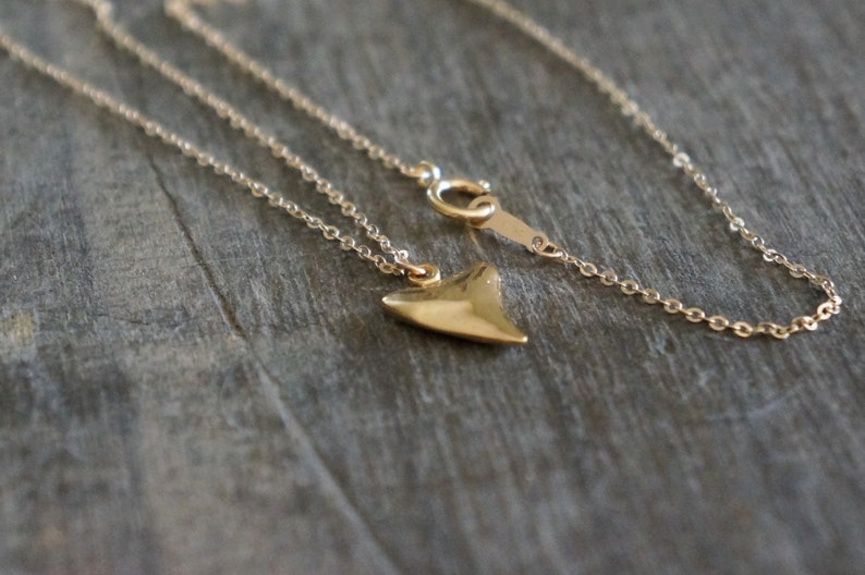 Gold Shark Tooth Necklace // Small Sharks Tooth Pendant on a 14k Gold Filled Chain Good Luck Charm Necklace Amulet Necklace image 5