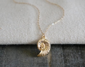 Gold Ammonite Shell Necklace // Half Spiral Shell Pendant on a 14k Gold Filled Chain, Dainty Beach Jewelry, Fossil Shell Charm Necklace
