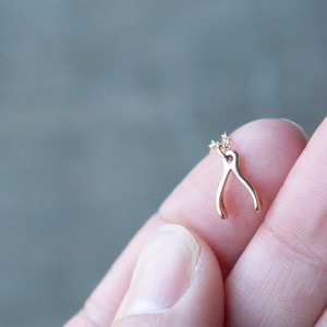 May include: A gold-colored wishbone pendant necklace. The small, delicate charm is in the shape of a wishbone. The necklace is a simple, elegant piece of jewelry.