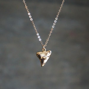 Gold Shark Tooth Necklace // Small Sharks Tooth Pendant on a 14k Gold Filled Chain Good Luck Charm Necklace Amulet Necklace image 1