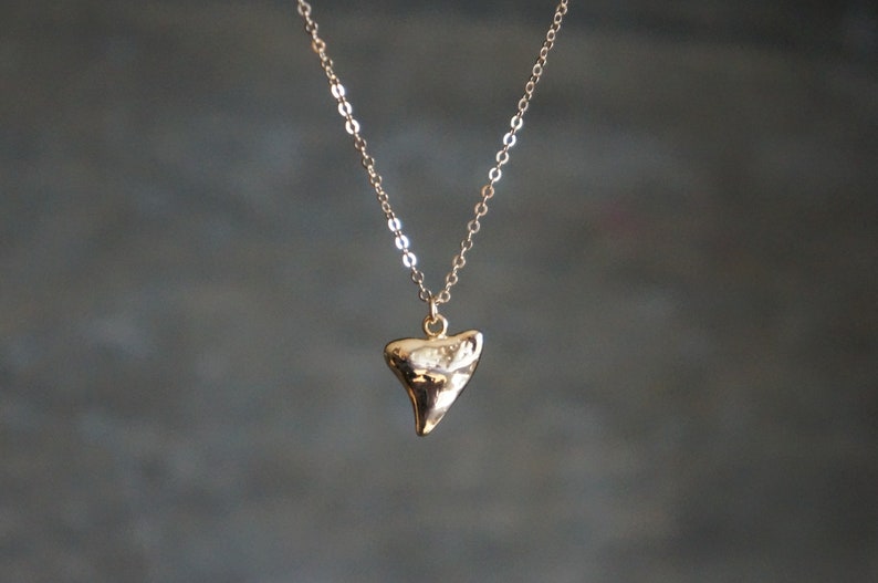 Gold Shark Tooth Necklace // Small Sharks Tooth Pendant on a 14k Gold Filled Chain Good Luck Charm Necklace Amulet Necklace image 1