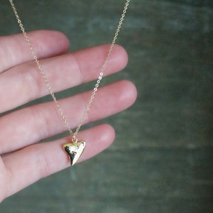 Gold Shark Tooth Necklace // Small Sharks Tooth Pendant on a 14k Gold Filled Chain Good Luck Charm Necklace Amulet Necklace image 2