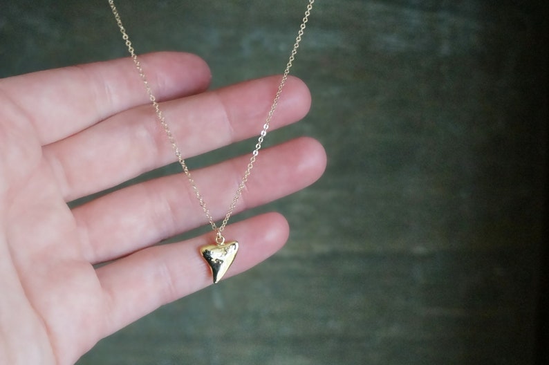 Gold Shark Tooth Necklace // Small Sharks Tooth Pendant on a 14k Gold Filled Chain Good Luck Charm Necklace Amulet Necklace image 2