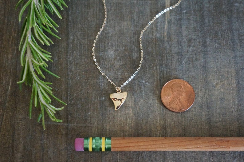 Gold Shark Tooth Necklace // Small Sharks Tooth Pendant on a 14k Gold Filled Chain Good Luck Charm Necklace Amulet Necklace image 4