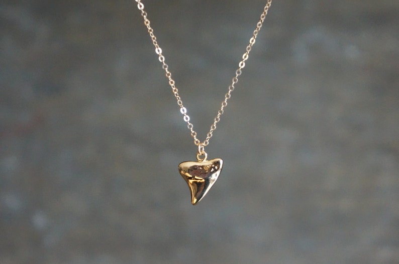 Gold Shark Tooth Necklace // Small Sharks Tooth Pendant on a 14k Gold Filled Chain Good Luck Charm Necklace Amulet Necklace image 6